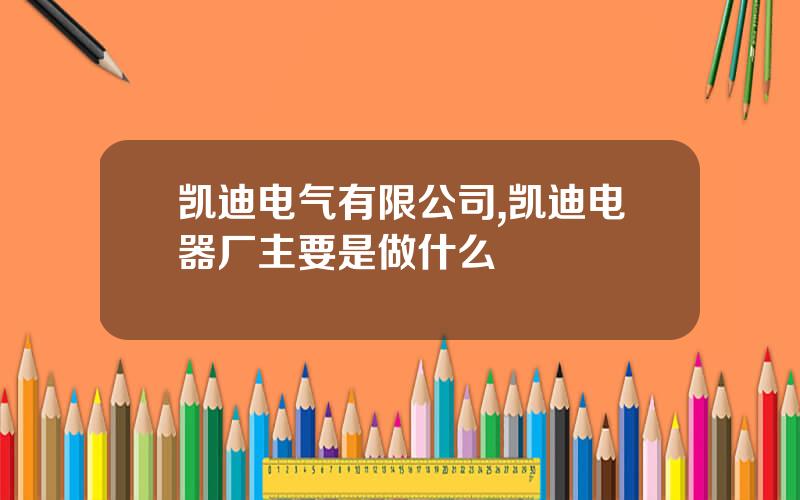 凯迪电气有限公司,凯迪电器厂主要是做什么