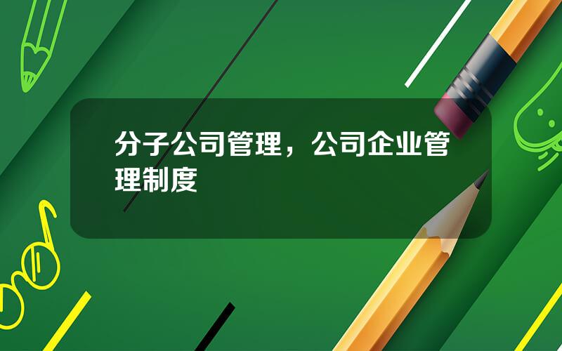 分子公司管理，公司企业管理制度