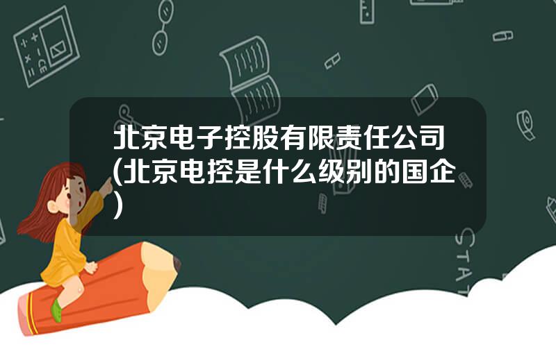 北京电子控股有限责任公司(北京电控是什么级别的国企)