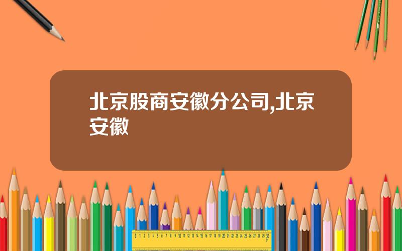 北京股商安徽分公司,北京安徽