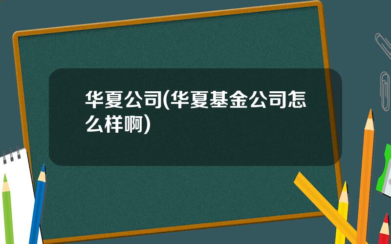华夏公司(华夏基金公司怎么样啊)