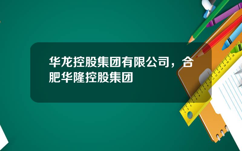 华龙控股集团有限公司，合肥华隆控股集团