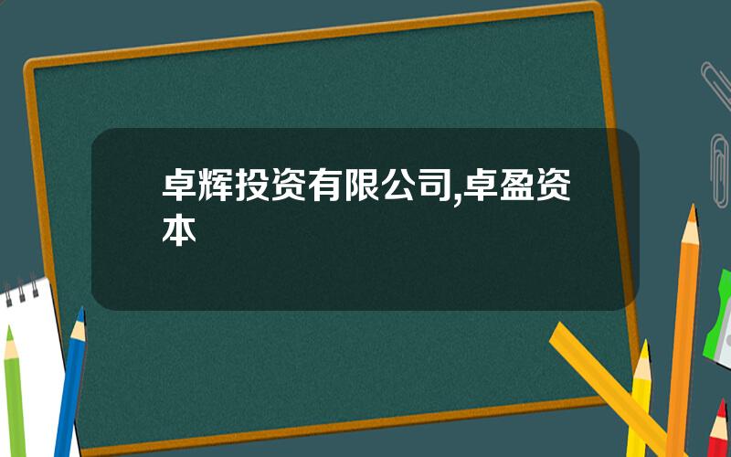 卓辉投资有限公司,卓盈资本