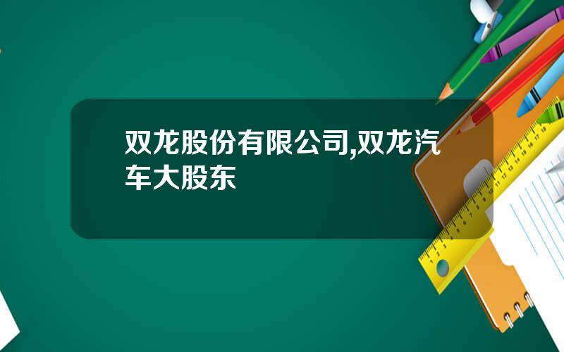 双龙股份有限公司,双龙汽车大股东