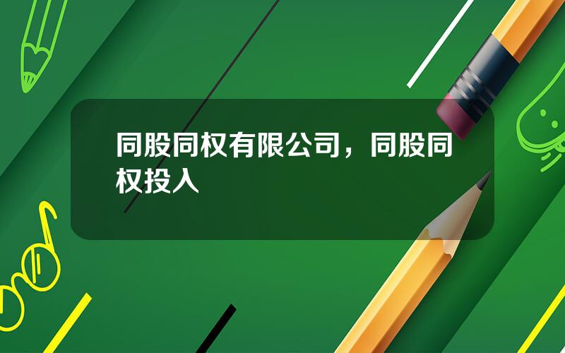 同股同权有限公司，同股同权投入