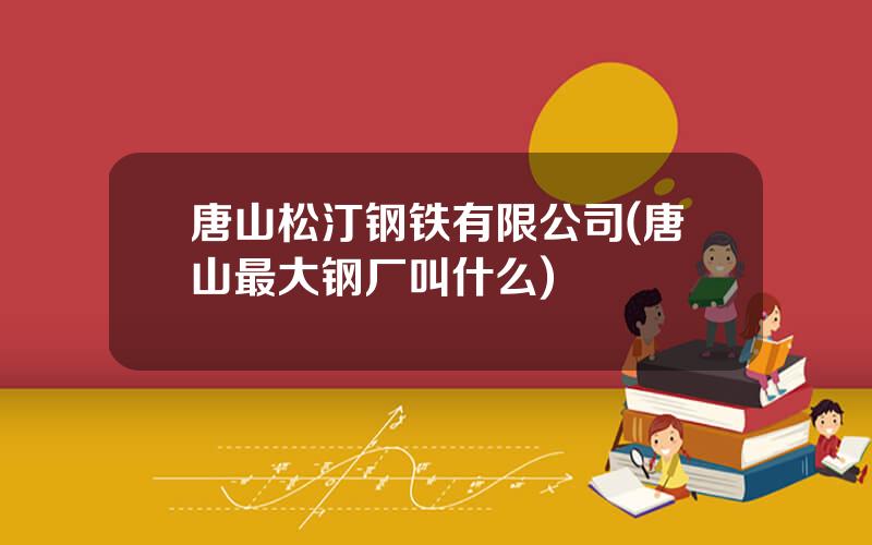 唐山松汀钢铁有限公司(唐山最大钢厂叫什么)