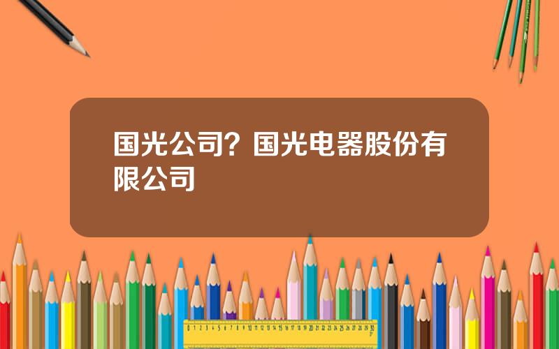 国光公司？国光电器股份有限公司