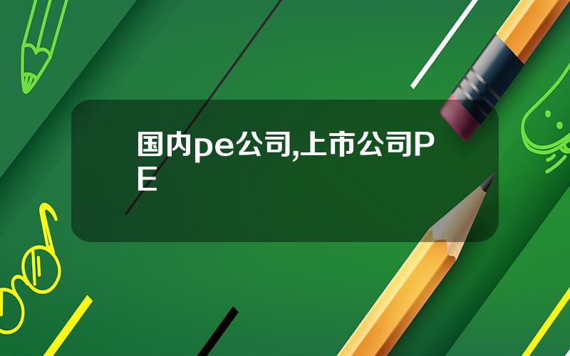 国内pe公司,上市公司PE