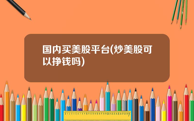 国内买美股平台(炒美股可以挣钱吗)