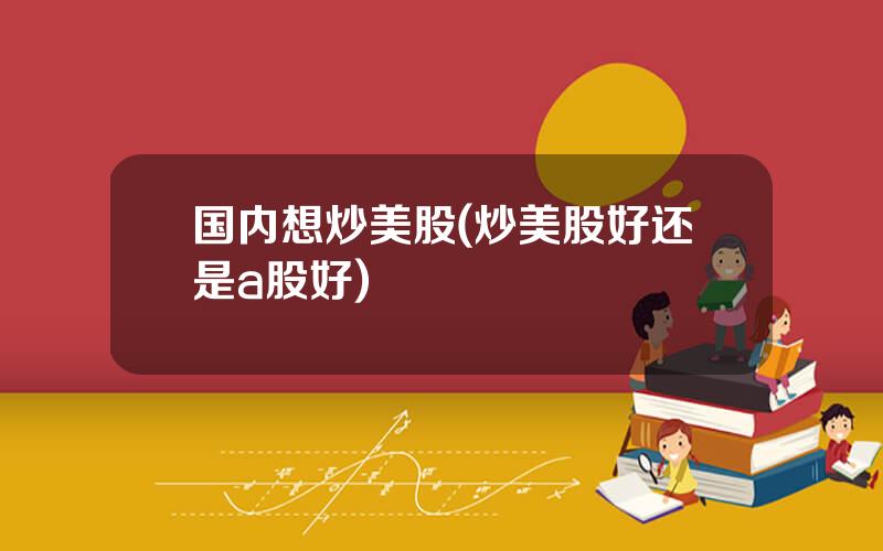 国内想炒美股(炒美股好还是a股好)