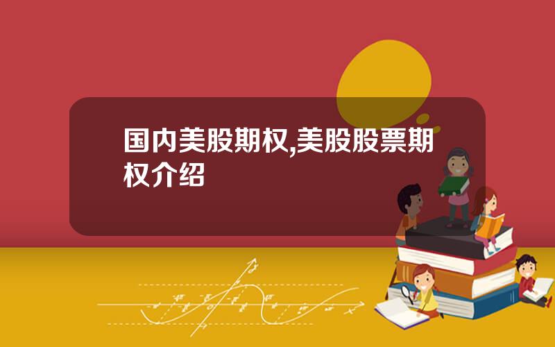 国内美股期权,美股股票期权介绍