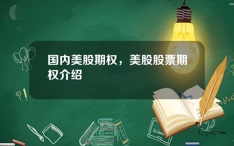 国内美股期权，美股股票期权介绍