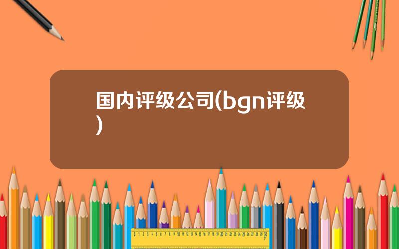 国内评级公司(bgn评级)