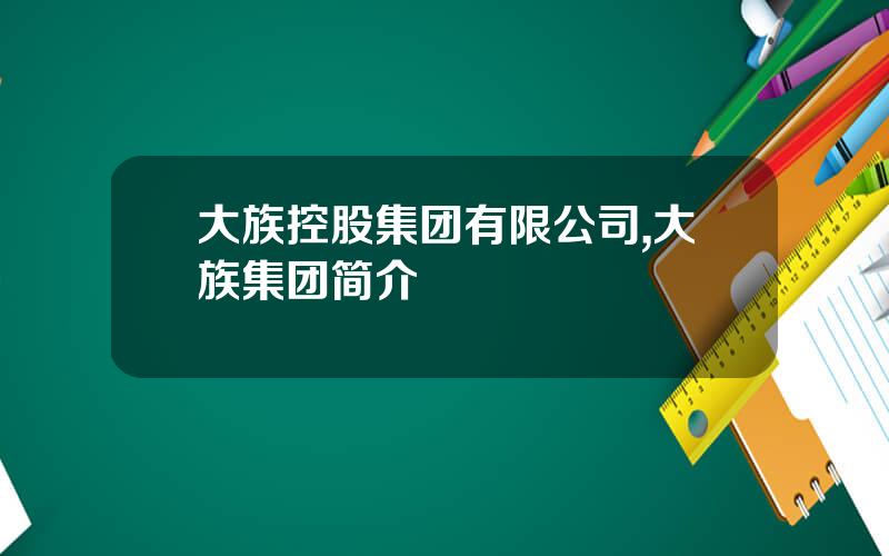 大族控股集团有限公司,大族集团简介