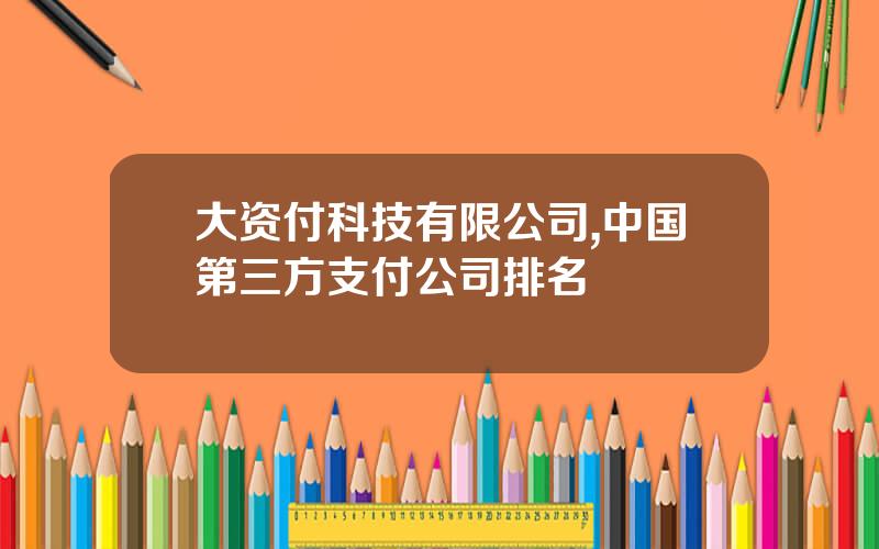 大资付科技有限公司,中国第三方支付公司排名