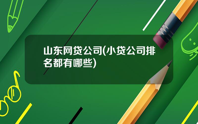 山东网贷公司(小贷公司排名都有哪些)