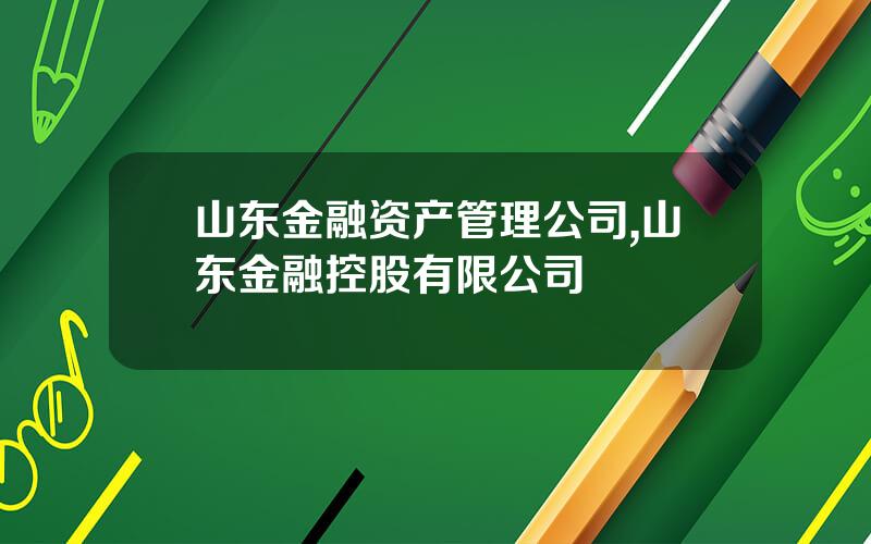 山东金融资产管理公司,山东金融控股有限公司