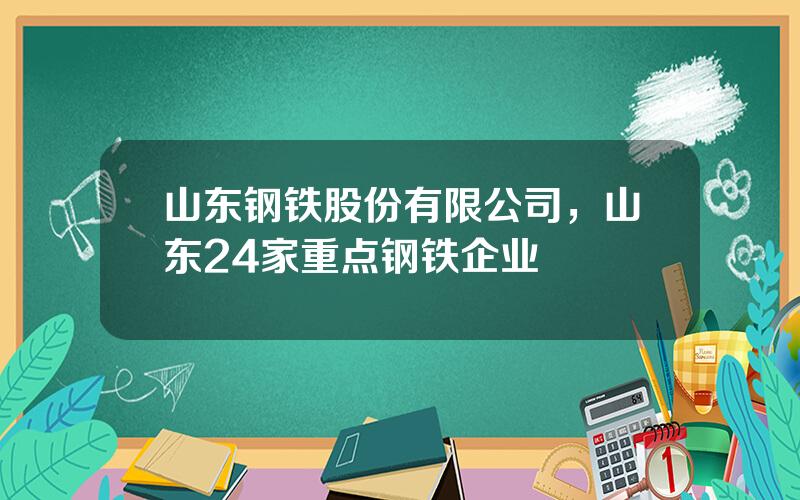 山东钢铁股份有限公司，山东24家重点钢铁企业