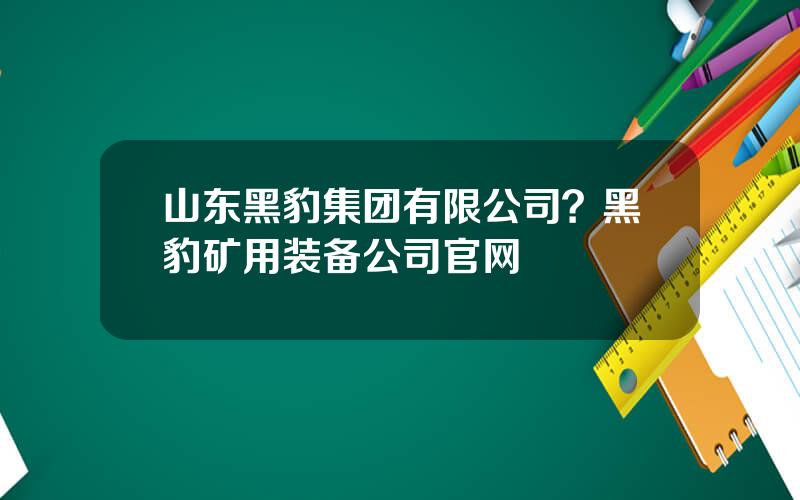 山东黑豹集团有限公司？黑豹矿用装备公司官网