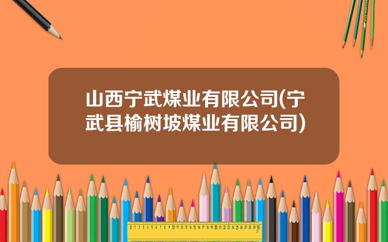 山西宁武煤业有限公司(宁武县榆树坡煤业有限公司)