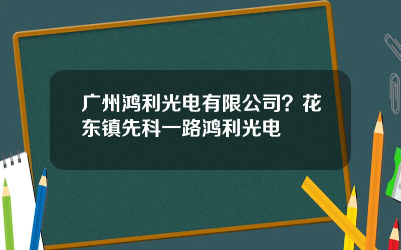 广州鸿利光电有限公司？花东镇先科一路鸿利光电