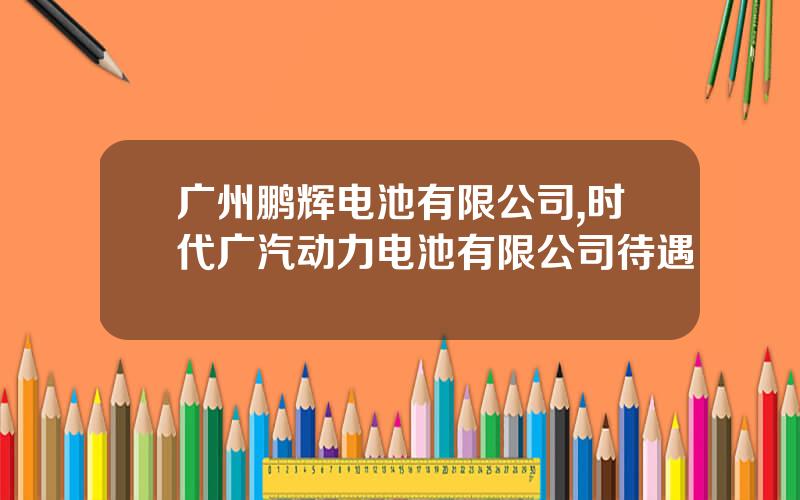 广州鹏辉电池有限公司,时代广汽动力电池有限公司待遇