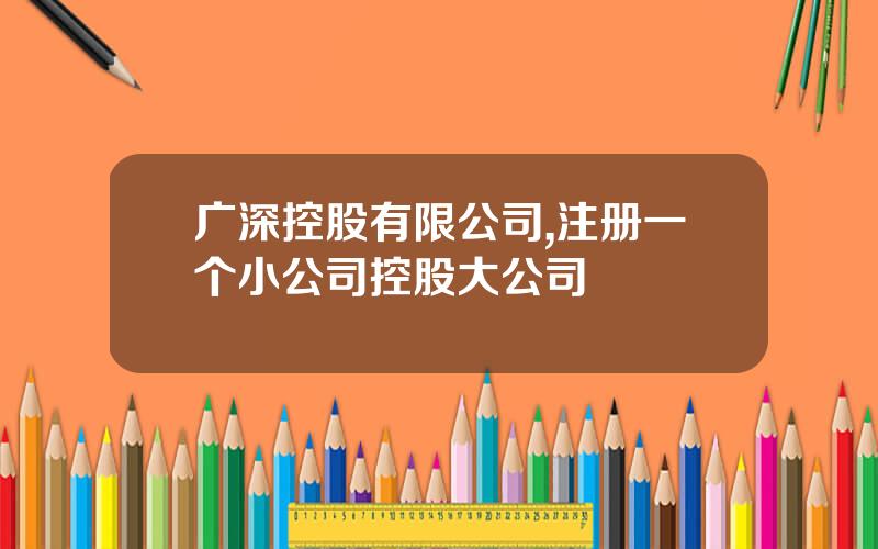 广深控股有限公司,注册一个小公司控股大公司