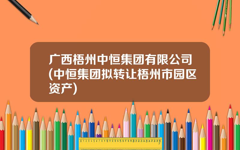 广西梧州中恒集团有限公司(中恒集团拟转让梧州市园区资产)