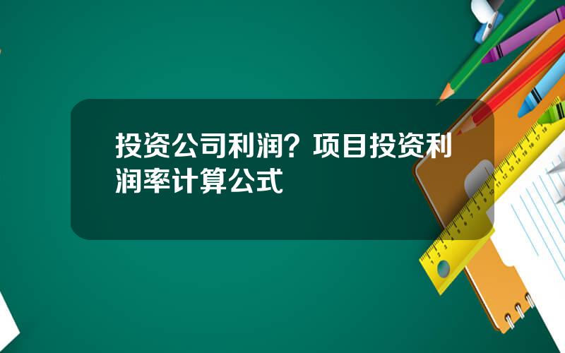投资公司利润？项目投资利润率计算公式