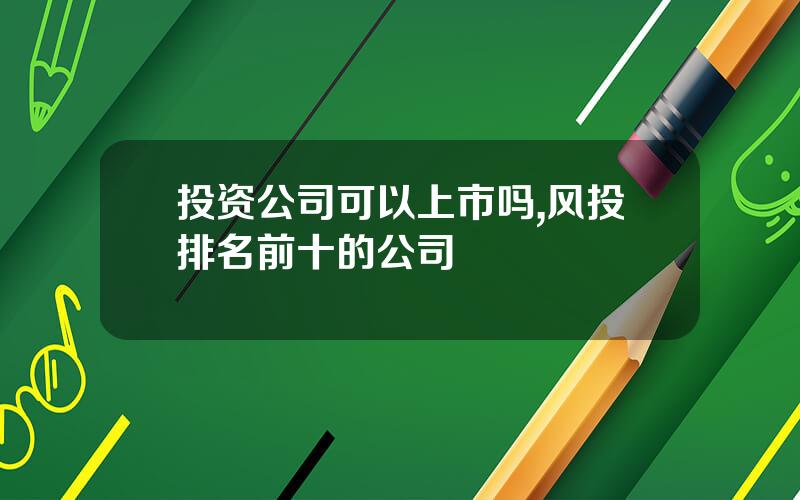 投资公司可以上市吗,风投排名前十的公司