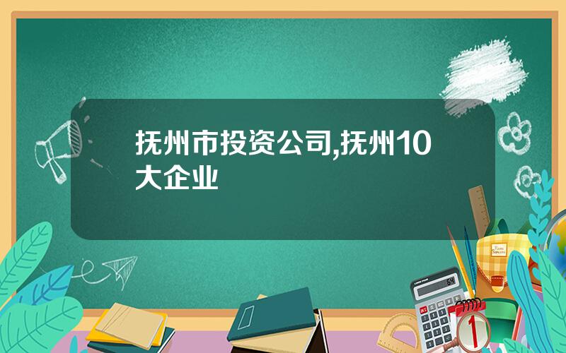 抚州市投资公司,抚州10大企业