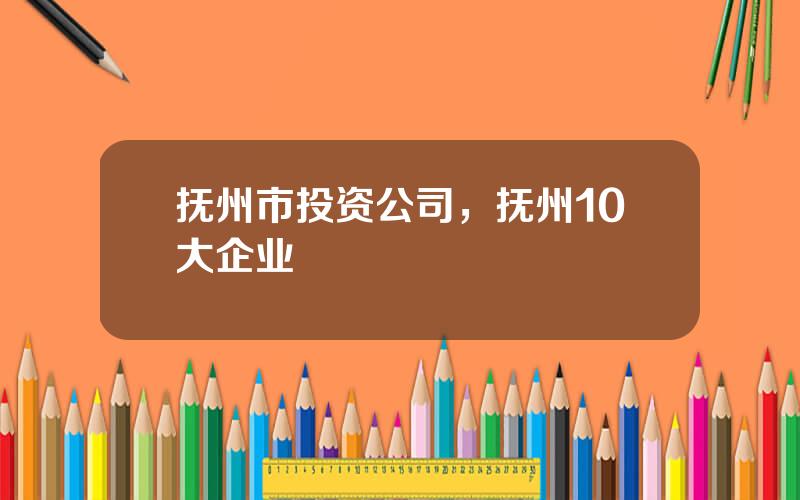 抚州市投资公司，抚州10大企业