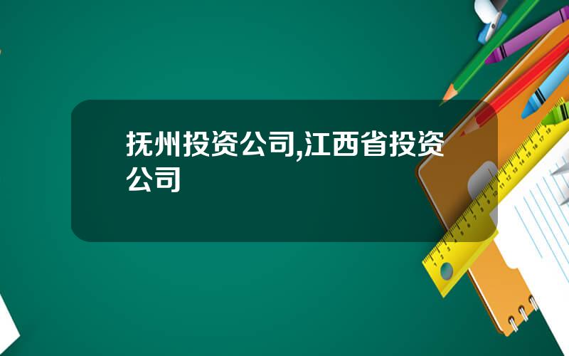 抚州投资公司,江西省投资公司