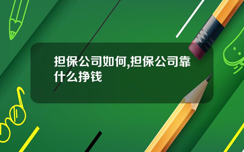担保公司如何,担保公司靠什么挣钱