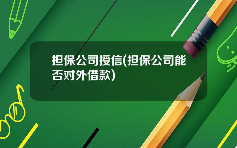 担保公司授信(担保公司能否对外借款)