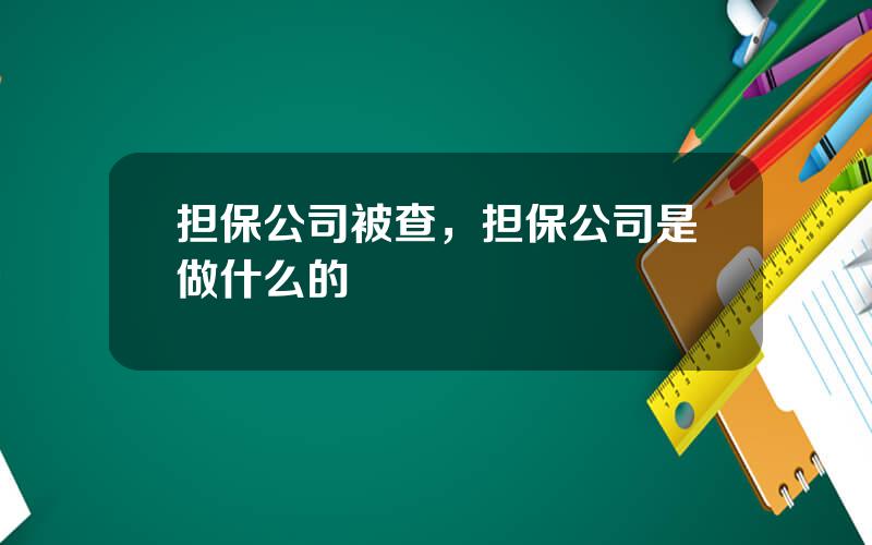 担保公司被查，担保公司是做什么的