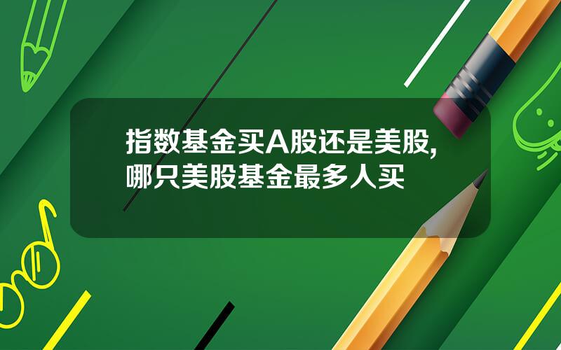 指数基金买A股还是美股,哪只美股基金最多人买