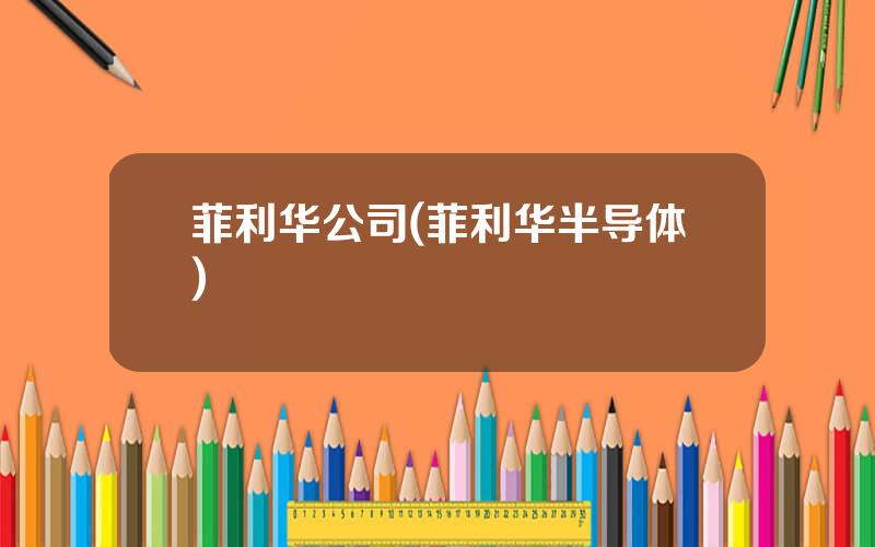 菲利华公司(菲利华半导体)